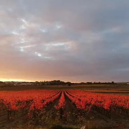 Belle Dans Maison De Charme * Caunes-Minervois