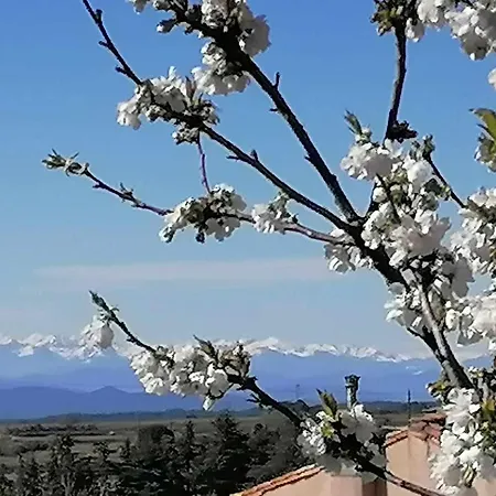 Belle Dans Maison De Charme * Caunes-Minervois